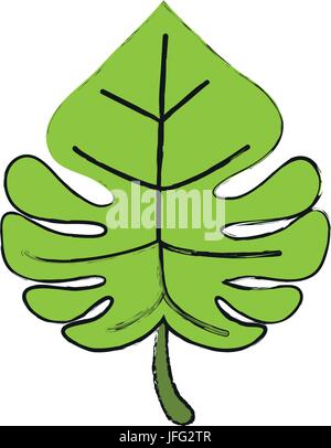 delicate flower draw image Stock Vector