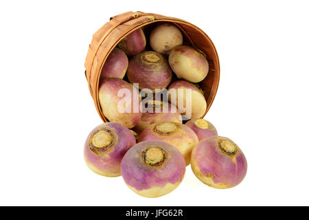 Vegetable Turnip roots Stock Photo