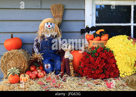 Thanksgiving Decoration of Country House Stock Photo