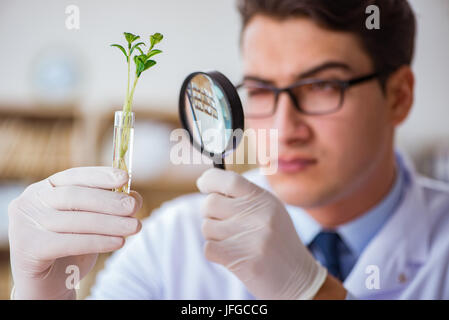 Biotechnology scientist working in the lab Stock Photo