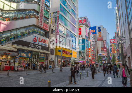 Japan, Kanto, Tokyo City, Akihabara electric town Stock Photo