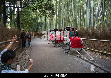 Japan, Kyoto City, near Tenryu-ji, bambu wood Stock Photo