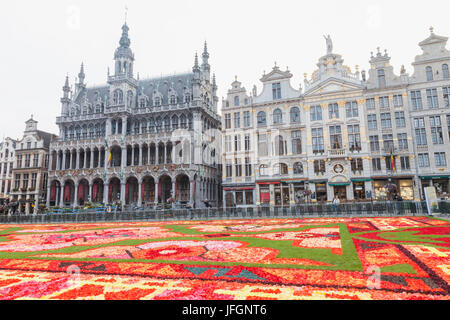 Belgium, Brussels, Grand Place, Flower Carpet Festival Stock Photo