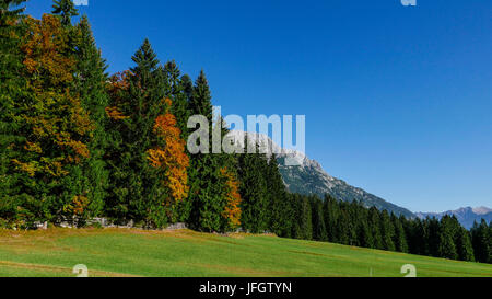 Autumn mood in the Leutaschtal, broad-leaved trees at the edge of the forest, background Wetterstein points, Wetterstein Range, Tyrol, on the right to Soiern with Soiernspitze Stock Photo