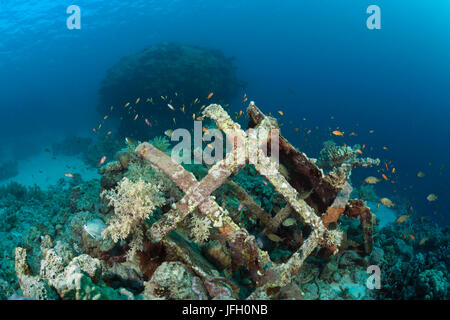 Remains Jacques Cousteau underwater station Precontinent II, Shaab Rumi, the Red Sea, Sudan Stock Photo