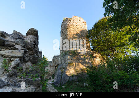 Donjon of the castle ruin Prandegg, Austria, Upper Austria, Mühlviertel, Schönau in the Mühlkreis Stock Photo