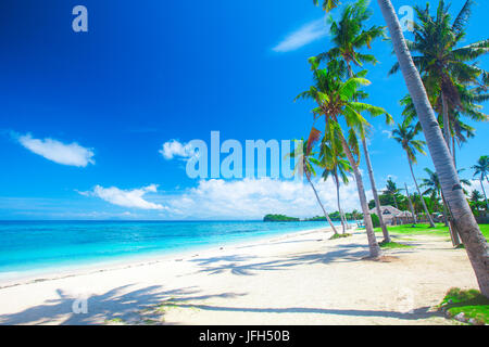 panoramic tropical beach with coconut palm Stock Photo