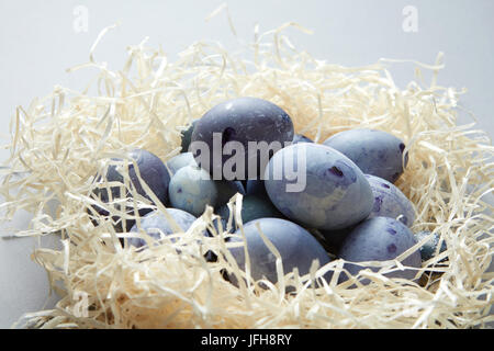 Blue eggs in nest Stock Photo