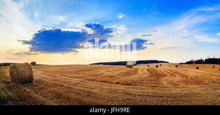 Hay bales on field Stock Photo