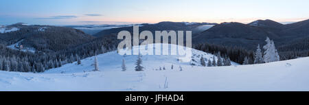 Predawn morning winter mountain panorama with snow covered trees ...