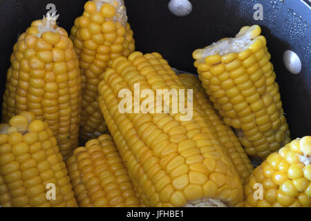 corn on the cob in black pot Stock Photo