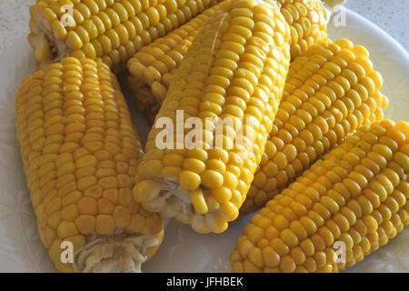 corn on the cob on white plate Stock Photo