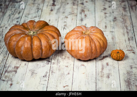 Three pumpkins on a gray wooden floor. Stock Photo