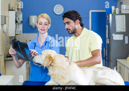 Woman vet showing the dogs x-ray to the owner Stock Photo