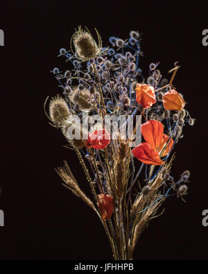 Dry flowers on black Stock Photo