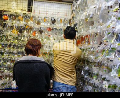 Hong Kong, China - Dec 26, 2014. Customers visiting fish shop. Gold fish market in Tung Choi street is famous for tourists in Hong Kong, China. Stock Photo