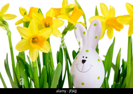 Narcissi with Easter bunny as a greeting to Easter Stock Photo