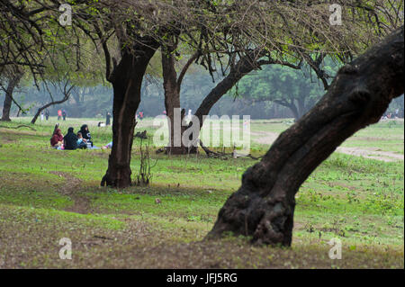 Arabia, Arabian peninsula, Sultanate of Oman, Dhofar, the south of Oman, Salalah, wadi Darbat Stock Photo