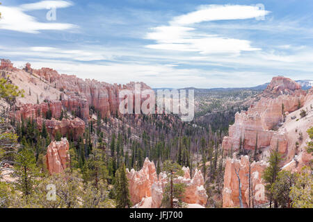 View at rock pyramids in Bryce Canyon Nationalpark, Utah, the USA Stock Photo