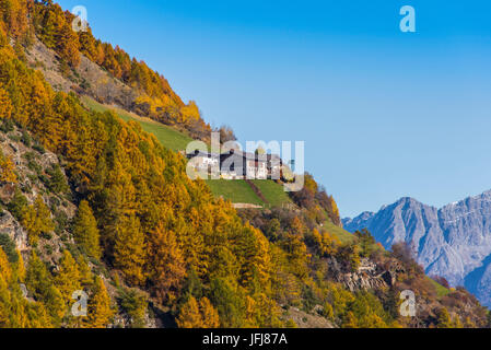 Talanoa hi-res stock photography and images - Alamy