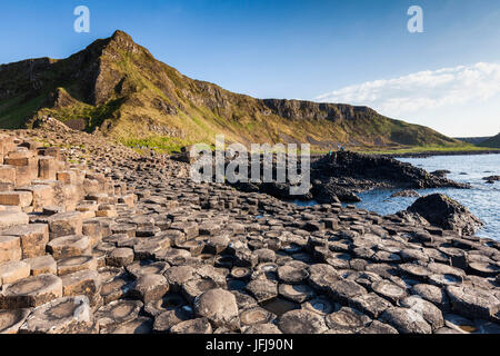 UK, Northern Ireland, County Antrim, Bushmills, Giants Causeway, Unesco World Heritage Site, coastal rock formation of basalt, dusk Stock Photo