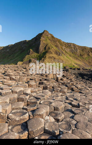 UK, Northern Ireland, County Antrim, Bushmills, Giants Causeway, Unesco World Heritage Site, coastal rock formation of basalt, dusk Stock Photo