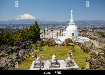 Japan, Gotemba City, Budist Temple and Mount Fuji, Chery Blossoms Stock Photo
