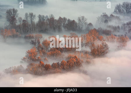 Atmosphere on the banks of the river Adda, province of Lecco, Airuno, Italy, Stock Photo