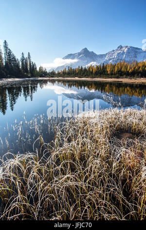 Grass covered in frost on the shores of Entova Lake, Valmalenco, Valtellina, Lombardy, Italy Europe Stock Photo