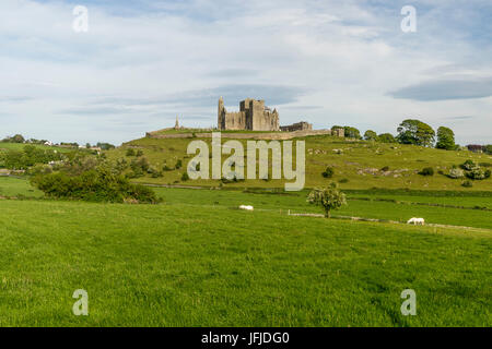 Rock of Cashel, Cashel, Co, Tipperary, Munster, Ireland, Europe, Stock Photo