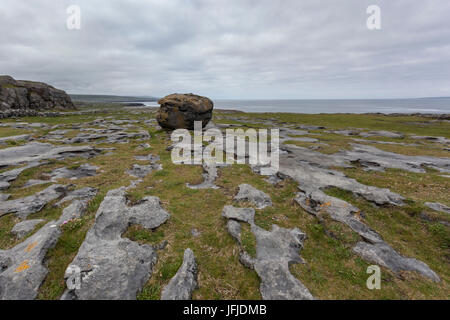 Rock formation in Burren National Park, Co, Clare, Ireland, Europe, Stock Photo