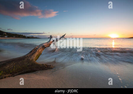 Tree trunk on the beach framed by the caribbean sunset at Hawksbill Bay Antigua and Barbuda Leeward Islands West Indies Stock Photo