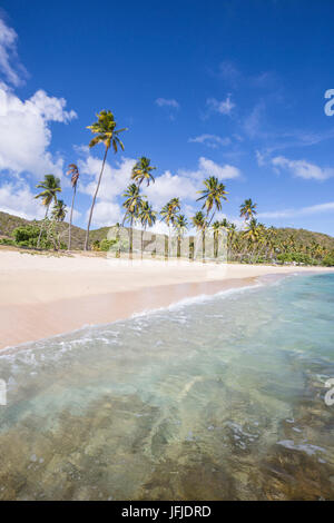 The long beach surrounded by palm trees and the Caribbean Sea Carlisle Morris Bay Antigua and Barbuda Leeward Island West Indies Stock Photo