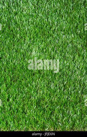 Detail of vertical synthetic grass photographed in studio Stock Photo
