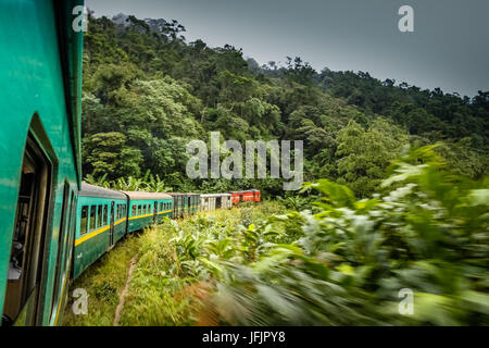 Tropical train going through the jungle Stock Photo