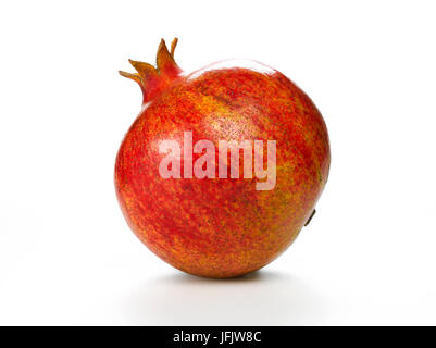 pomegranate Stock Photo