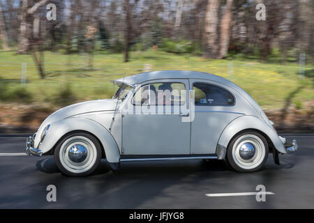 Vintage Volkswagen Beetle driving on country roads near the town of Birdwood, South Australia. Stock Photo