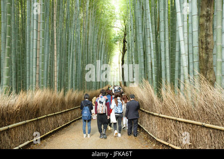 Arashyima bamboo forest in Kyoto, Japan Stock Photo