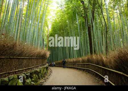 Arashyima bamboo forest in Kyoto, Japan Stock Photo