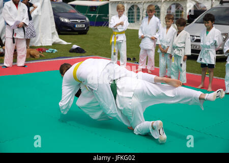 Biggin Hill, UK. 1st July, 2017. Biggin Hill's annual festival gets underway in Kent. The festival has lots of fun for all the family complete with a fun dog show, judo show, gymnastics, belly dancers, reptiles, funfair rides, stalls, classic cars, motorcycles, performing arts school and was opened by the Mayor of Bromley, Cllr Kathy Bance MBE. There were lovely blue skies this year after the washout last year due to heavy rain. Credit: Keith Larby/Alamy Live News Stock Photo