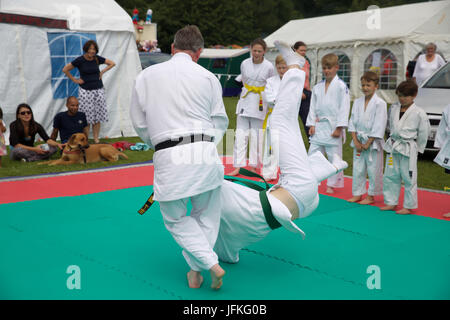 Biggin Hill, UK. 1st July, 2017. Biggin Hill's annual festival gets underway in Kent. The festival has lots of fun for all the family complete with a fun dog show, judo show, gymnastics, belly dancers, reptiles, funfair rides, stalls, classic cars, motorcycles, performing arts school and was opened by the Mayor of Bromley, Cllr Kathy Bance MBE. There were lovely blue skies this year after the washout last year due to heavy rain. Credit: Keith Larby/Alamy Live News Stock Photo