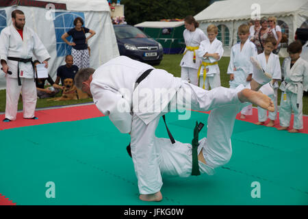 Biggin Hill, UK. 1st July, 2017. Biggin Hill's annual festival gets underway in Kent. The festival has lots of fun for all the family complete with a fun dog show, judo show, gymnastics, belly dancers, reptiles, funfair rides, stalls, classic cars, motorcycles, performing arts school and was opened by the Mayor of Bromley, Cllr Kathy Bance MBE. There were lovely blue skies this year after the washout last year due to heavy rain. Credit: Keith Larby/Alamy Live News Stock Photo