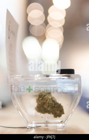 Las Vegas, USA. 01st July, 2017. a sample of marijuana is displayed at The Source marijuana dispensary during the first day of the state's recreational marijuana sales. State residents and visitors over the age of 21 are able to purchase up to one ounce of marijuana flower and 1/8 ounce of concentrate. Credit: Jason Ogulnik/Alamy Live News Stock Photo