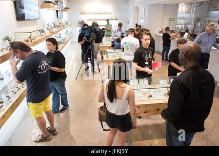 Las Vegas, USA. 01st July, 2017. customers shop at The Source marijuana dispensary during the first day of the state's recreational marijuana sales. State residents and visitors over the age of 21 are able to purchase up to one ounce of marijuana flower and 1/8 ounce of concentrate. Credit: Jason Ogulnik/Alamy Live News Stock Photo