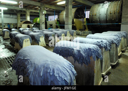 leather industry Stock Photo