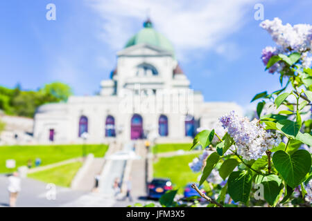 Montreal, Canada - May 28, 2017: St Joseph's Oratory on Mont Royal with light purple lilac flowers in Quebec region city Stock Photo