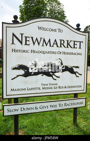 Welcome To Newmarket Town Centre Sign, Fordham Road, Newmarket, Suffolk ...