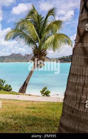 Palm trees and fine sand surrounded by Caribbean Sea Ffryes Beach Sheer Rocks Antigua and Barbuda Leeward Island West Indies Stock Photo