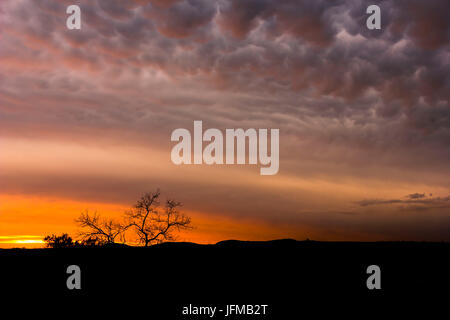 Monaghan farm, Lanseria, Province of Gauteng, South Africa, Sunset clouds after a storm, Stock Photo