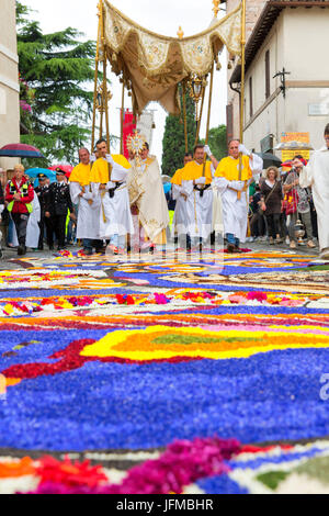 Europe, Umbria, italy, Perugia district, Spello, Artistic sacred figures realized with flowers on the occasion of the Corpus Christi Stock Photo